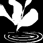 IMG_000143.png ( 1 KB ) by PaintBBS
